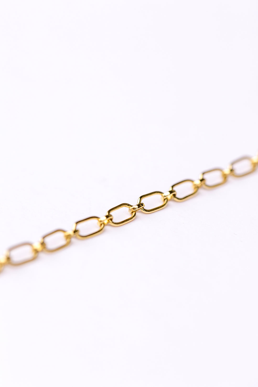 Gold Delicate Chain Necklace by Anna Shae Jewelry in Lexington, Kentucky 